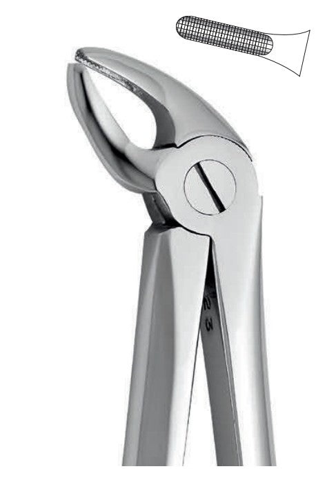 ANATOMIC TOOTH FORCEPS ENGLISH PATTERN - LOWER