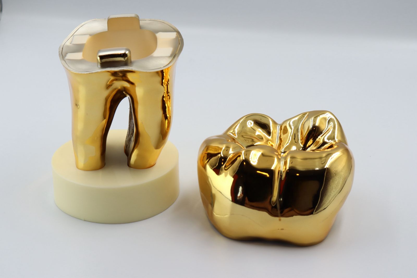 Golden Tooth Model 20x10cm - Big Tooth Style
