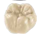 StarWax CB- Modelling Wax Dentin A1- 50g