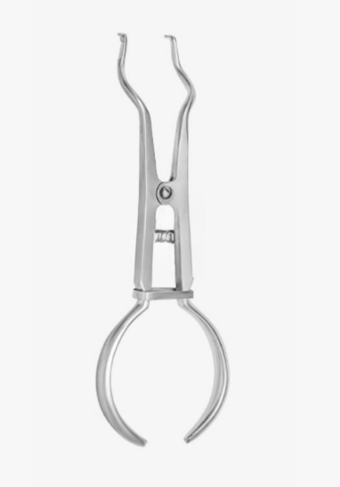 Clamp Forceps – Brewer