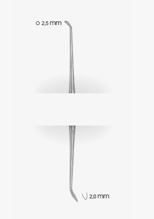 Amalgam Carver – Cleoid/Discoid