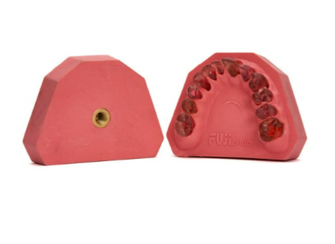 Fuji endodontic jaw 12 teeth