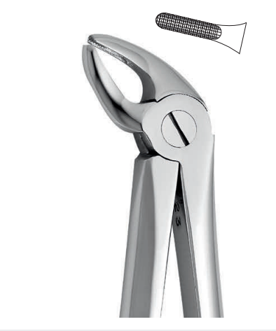 Lower tooth forceps – english pattern (anatomic design)