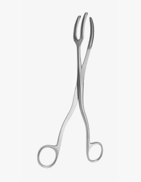 Sterilizing forceps
