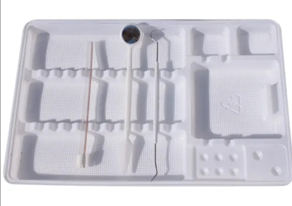 Disposable Plastic Divided Tray - 100 Pcs
