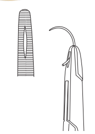 Needle Holder Adson – 17 cm