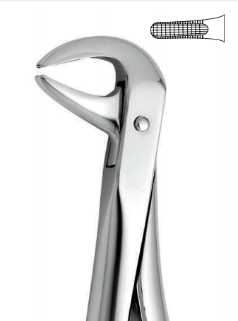 Lower tooth forceps – english pattern (anatomic design)