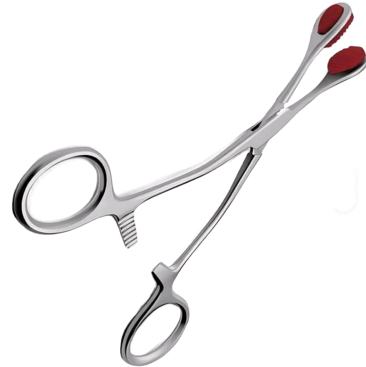 Tongue Forceps Young