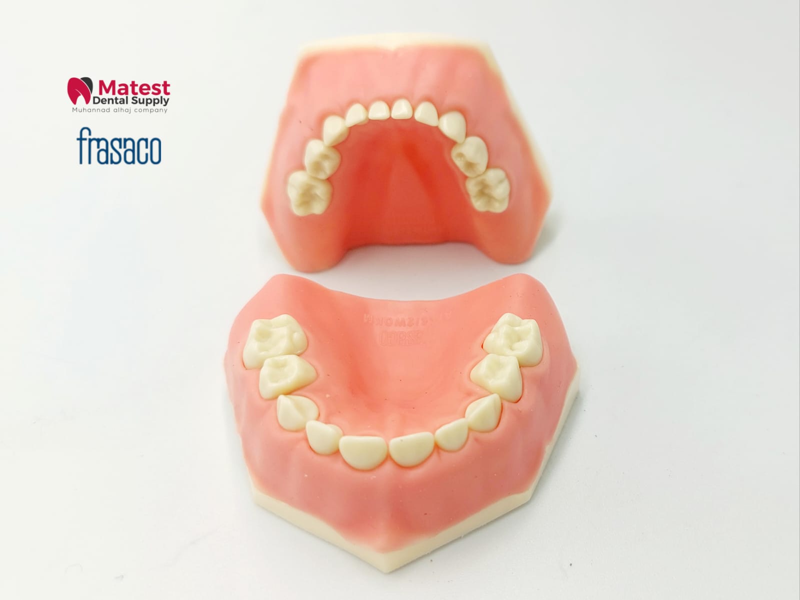 AK-6/2 Deciduous Denture Model