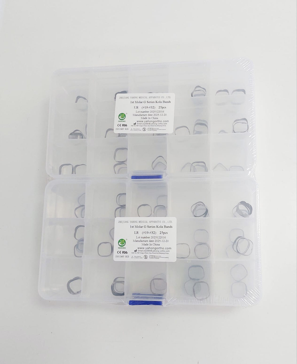 1st Molar G Series Kola Plain Band Size: #19-32 UR, UL, LR, LL: Kit of 100PCs