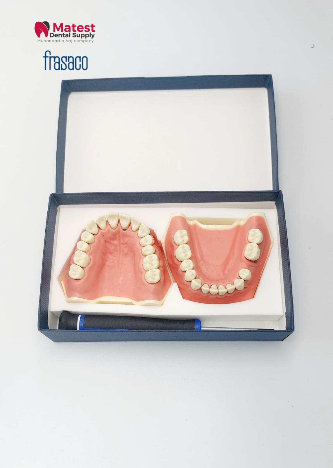 A-PZ Periodontitis Model