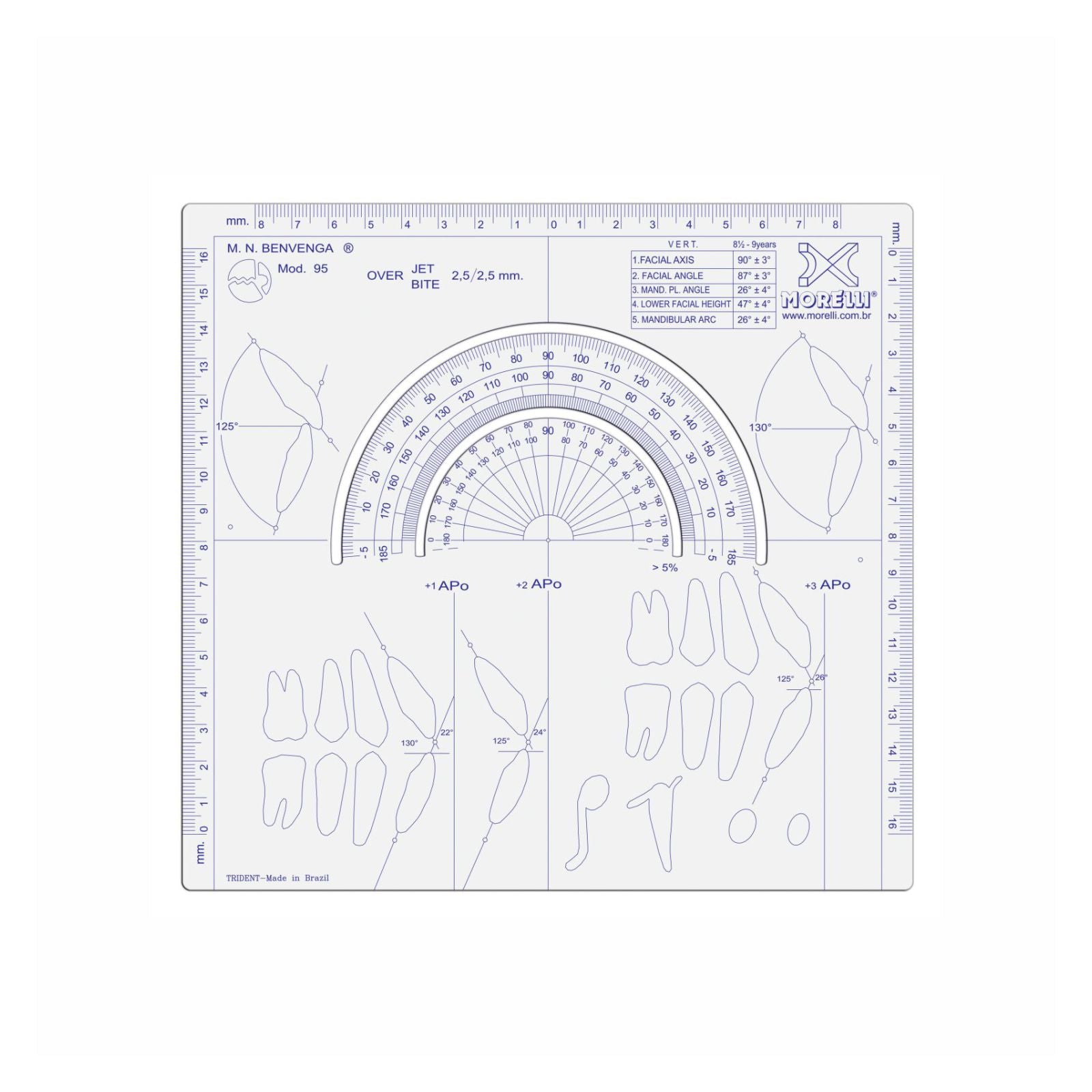 Benvenga Cephalometric Template 1995