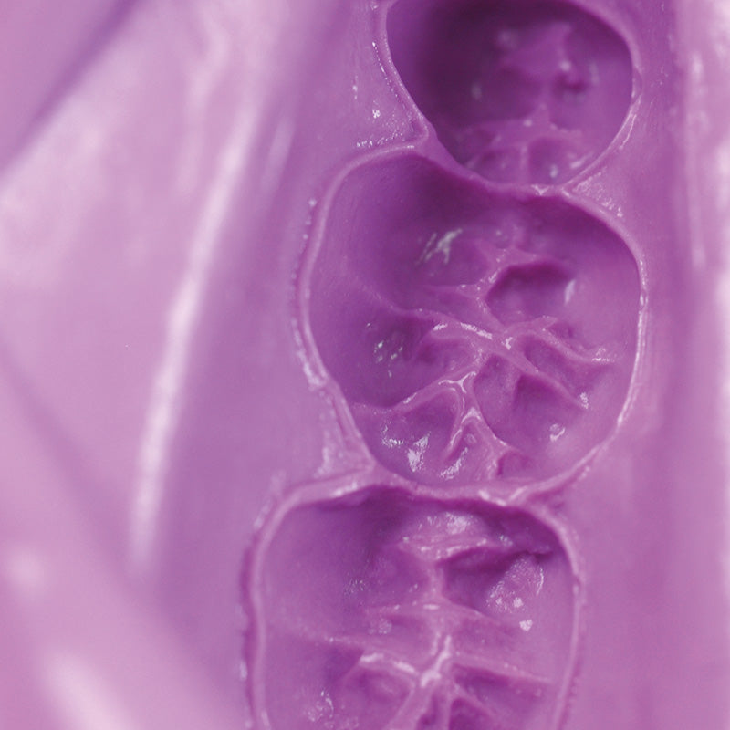 Hydrogum 5 - High Dimensional Stability Alginates
