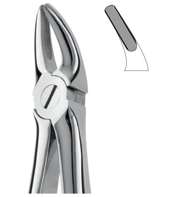 ANATOMIC TOOTH FORCEPS ENGLISH PATTERN - UPPER