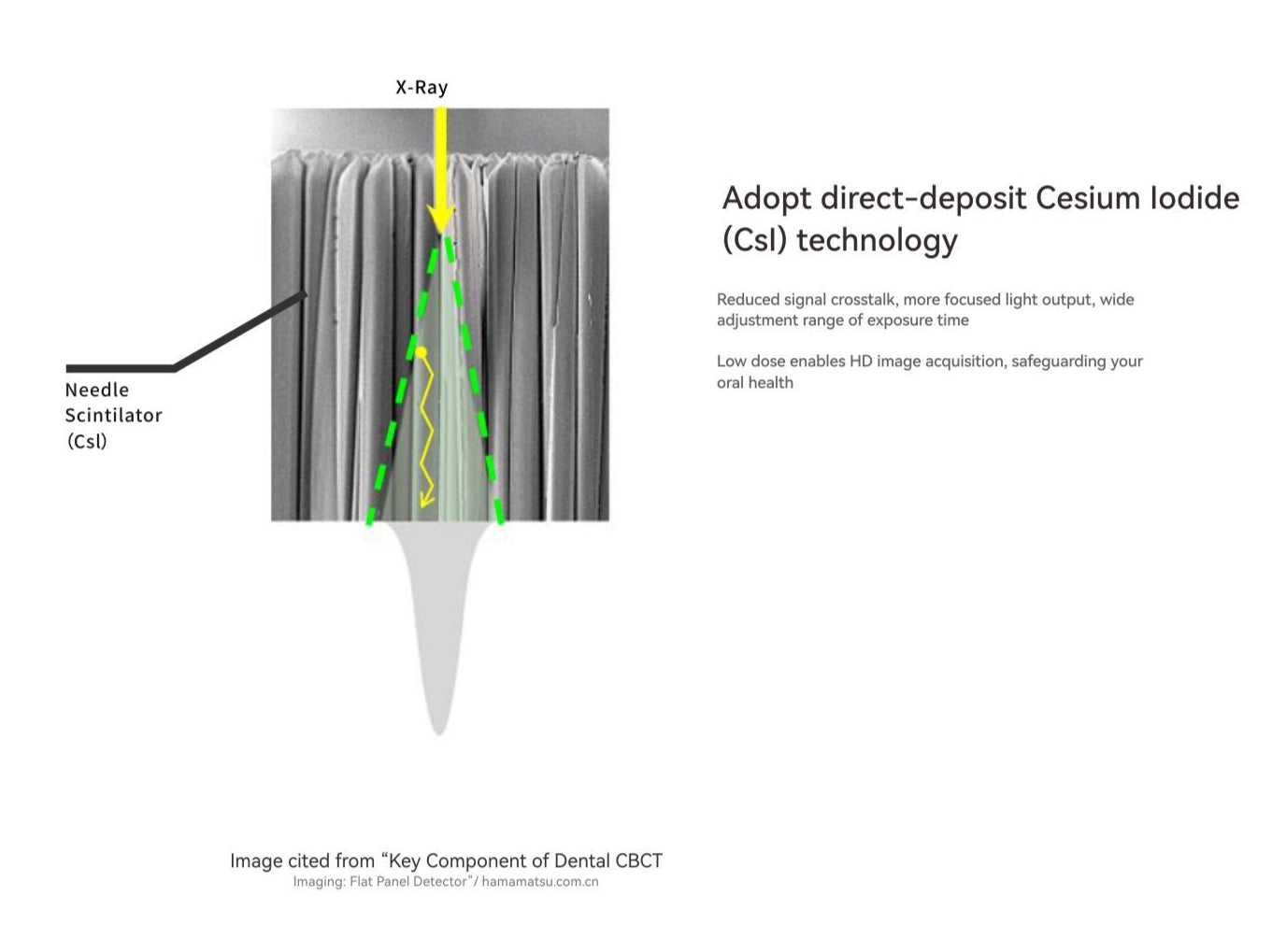 I-Sensor - Digital Intraoral X-Ray Sensor