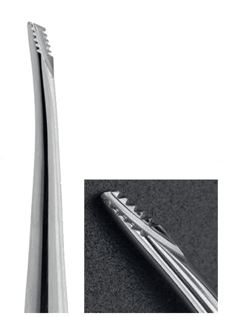 Root Elevator - Lindo Levian