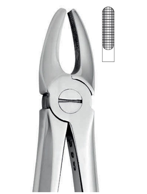 ANATOMIC TOOTH FORCEPS ENGLISH PATTERN - UPPER