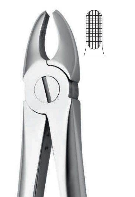 ANATOMIC TOOTH FORCEPS ENGLISH PATTERN - UPPER