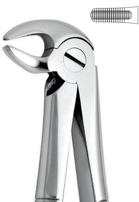 ANATOMIC TOOTH FORCEPS ENGLISH PATTERN - LOWER