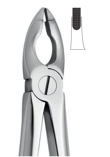 ANATOMIC TOOTH FORCEPS ENGLISH PATTERN - UPPER