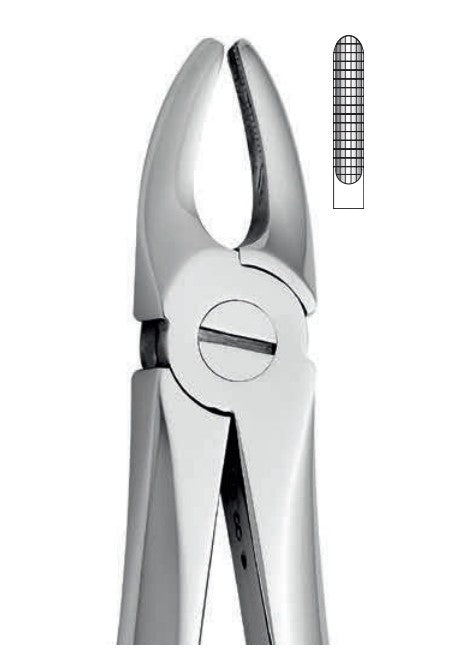 ANATOMIC TOOTH FORCEPS ENGLISH PATTERN - UPPER