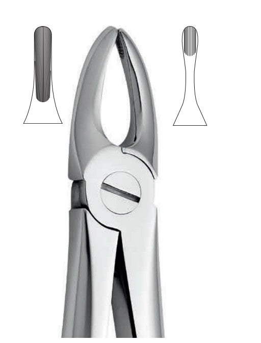 ANATOMIC TOOTH FORCEPS ENGLISH PATTERN - UPPER