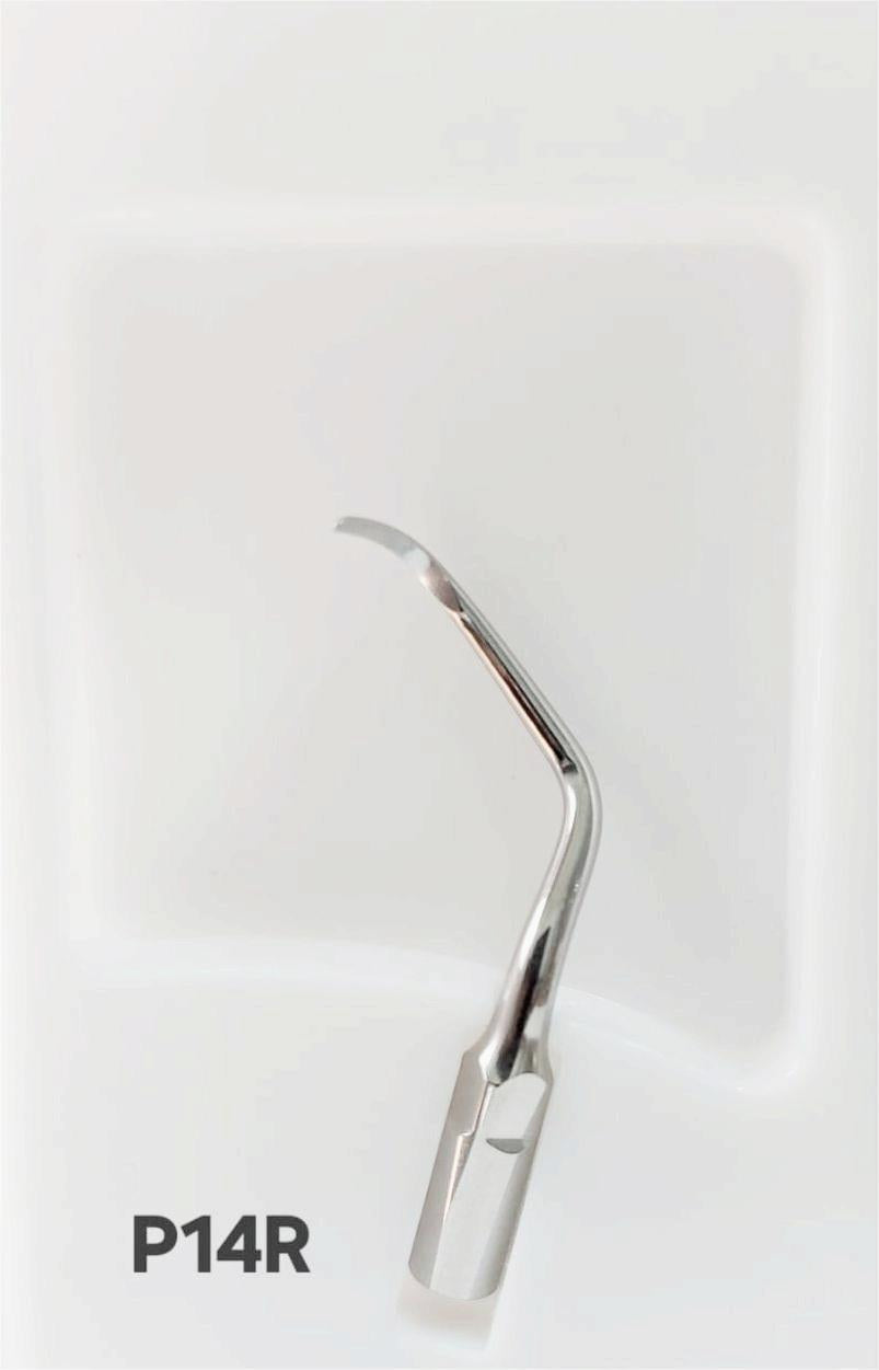 Ultrasonic Scaler Tips (Periodontics P) - WOODPECKER