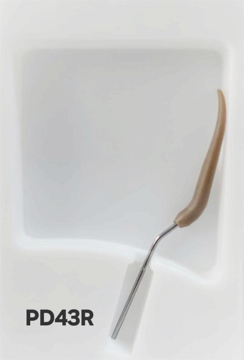 Ultrasonic Scaler Tips (Periodontics P) - WOODPECKER