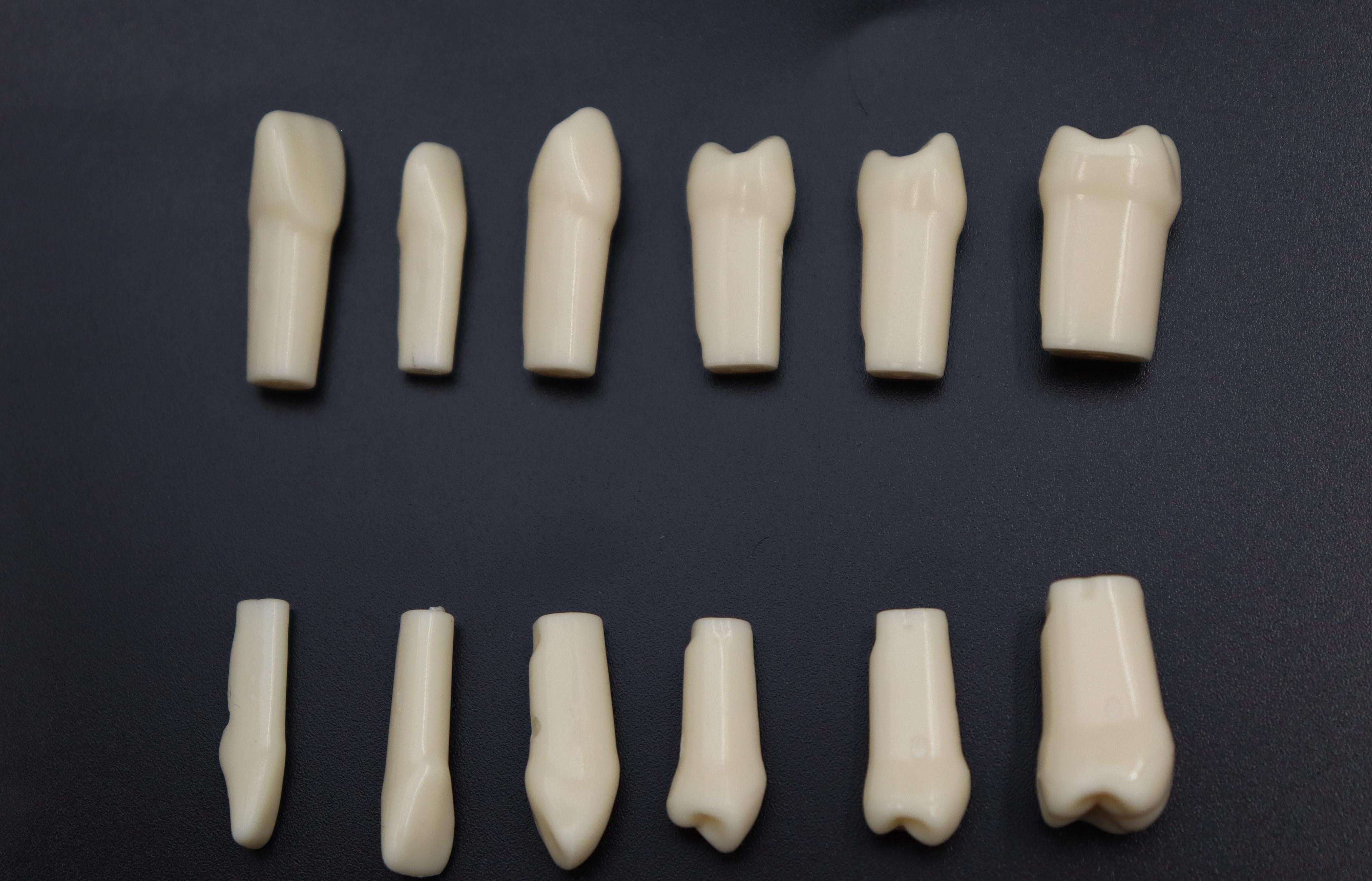 REPLACEMENT TEETH