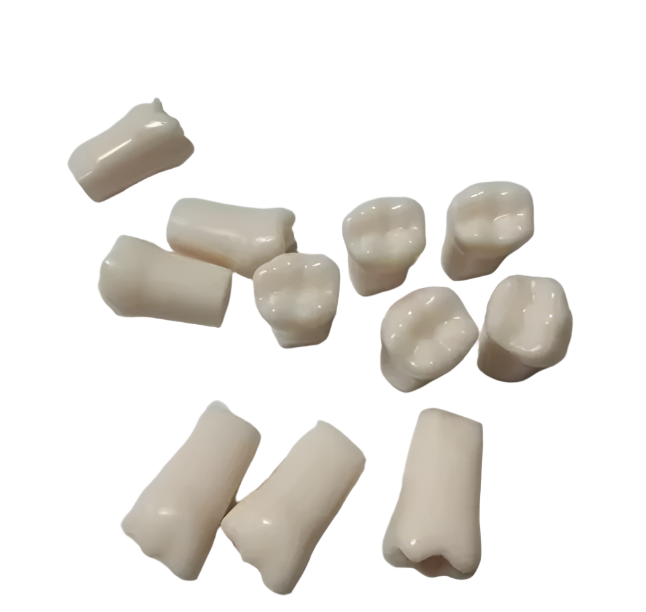 REPLACEMENT TEETH