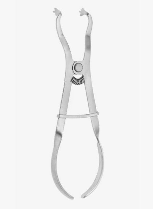 Clamp Forceps - Ivory