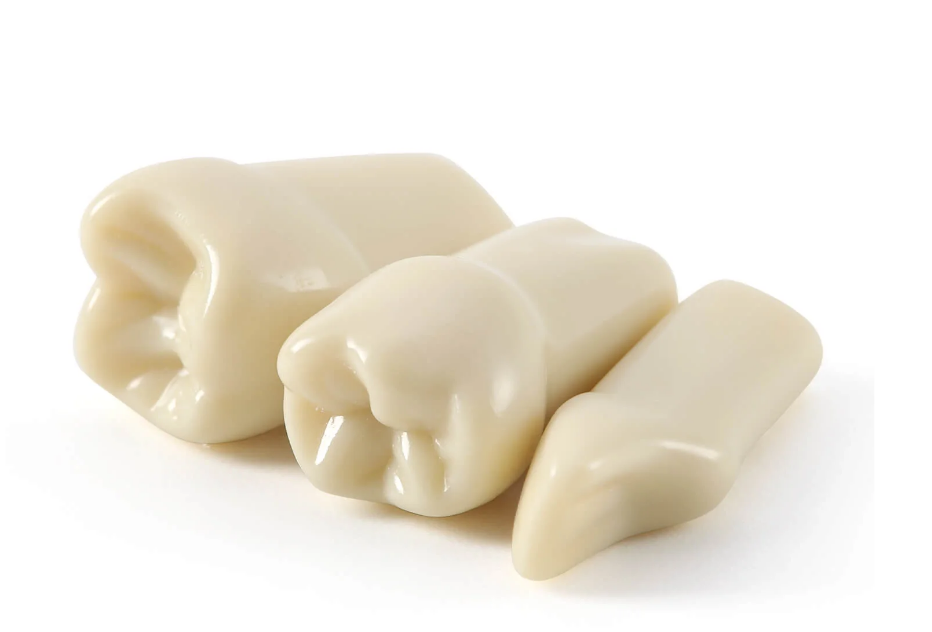 Teeth Model Replacement for SE32JAW