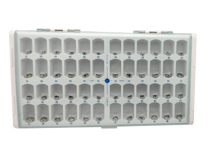 Primary Molar Crown Adult Stainless Steel Kit