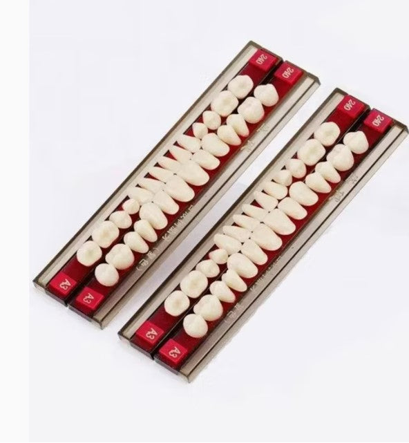 ARCYLIC TEETH ONE LAYER - FULL SET - SET OF 28 TEETH