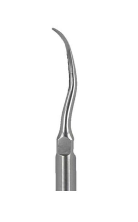 Ultrasonic Scaler Tips (Scaling G) - Woodpecker
