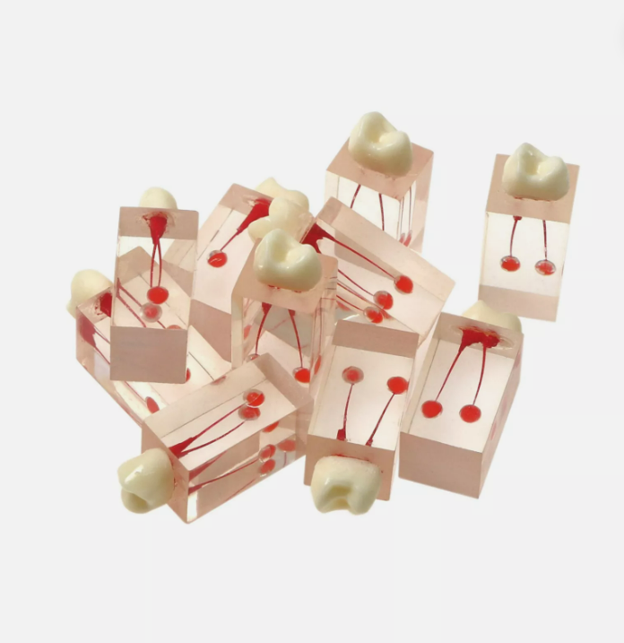 Root Canal Treatment Tooth Training Block Model