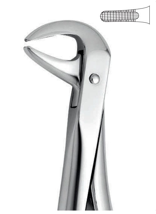 ANATOMIC TOOTH FORCEPS ENGLISH PATTERN - LOWER