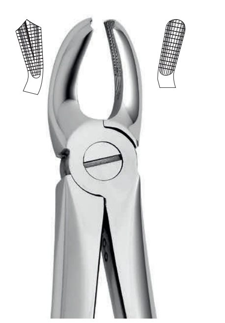 ANATOMIC TOOTH FORCEPS ENGLISH PATTERN - UPPER