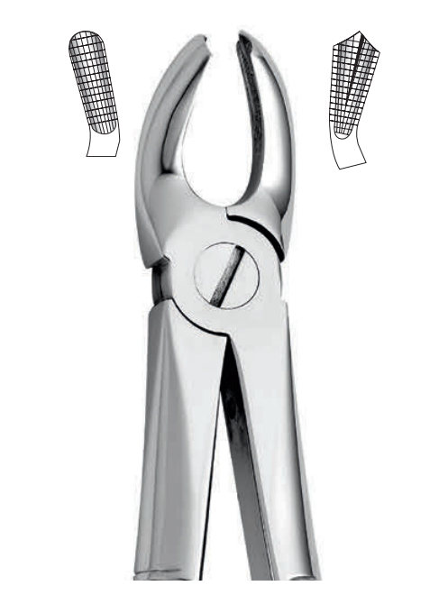 ANATOMIC TOOTH FORCEPS ENGLISH PATTERN - UPPER