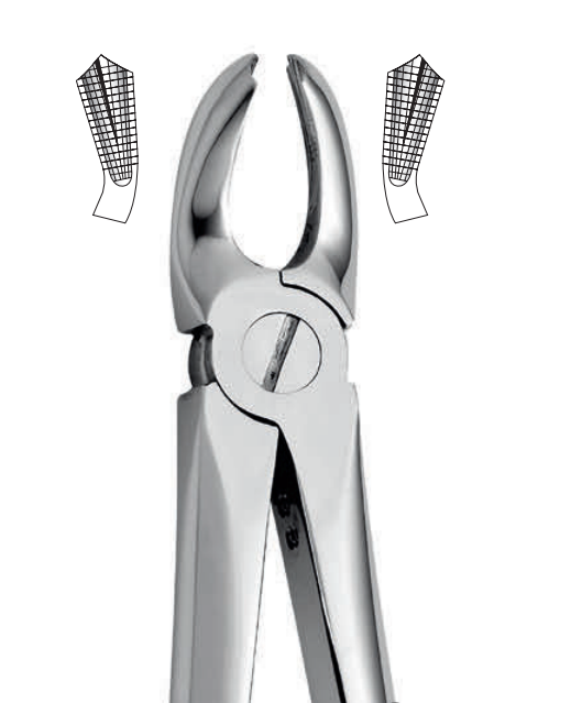 ANATOMIC TOOTH FORCEPS ENGLISH PATTERN - UPPER