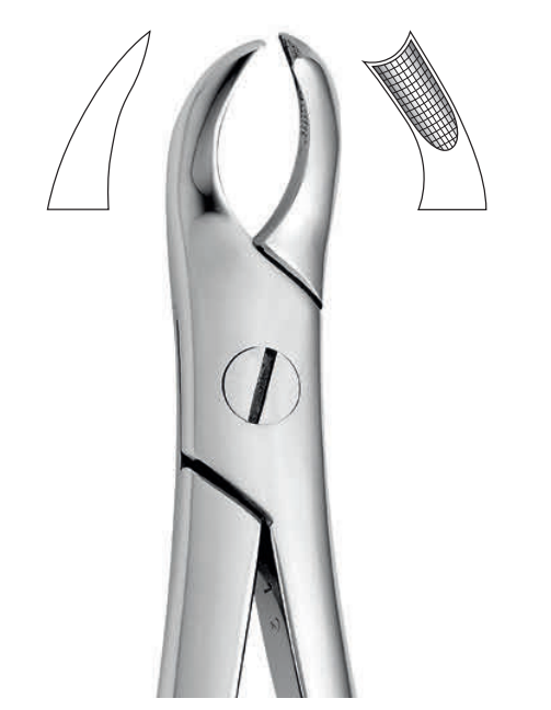 ANATOMIC TOOTH FORCEPS ENGLISH PATTERN - UPPER
