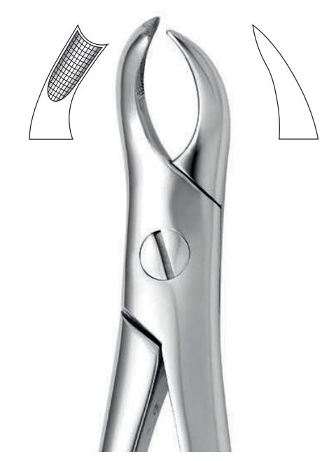 ANATOMIC TOOTH FORCEPS ENGLISH PATTERN - UPPER