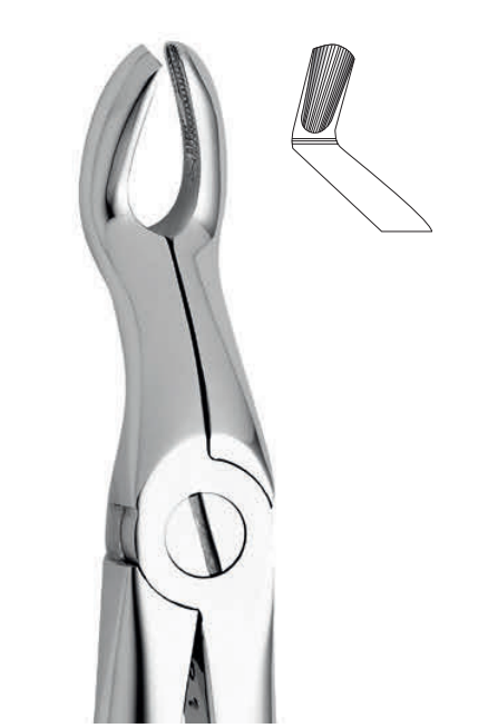 ANATOMIC TOOTH FORCEPS ENGLISH PATTERN - UPPER