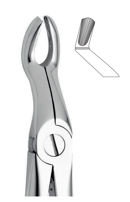 ANATOMIC TOOTH FORCEPS ENGLISH PATTERN - UPPER