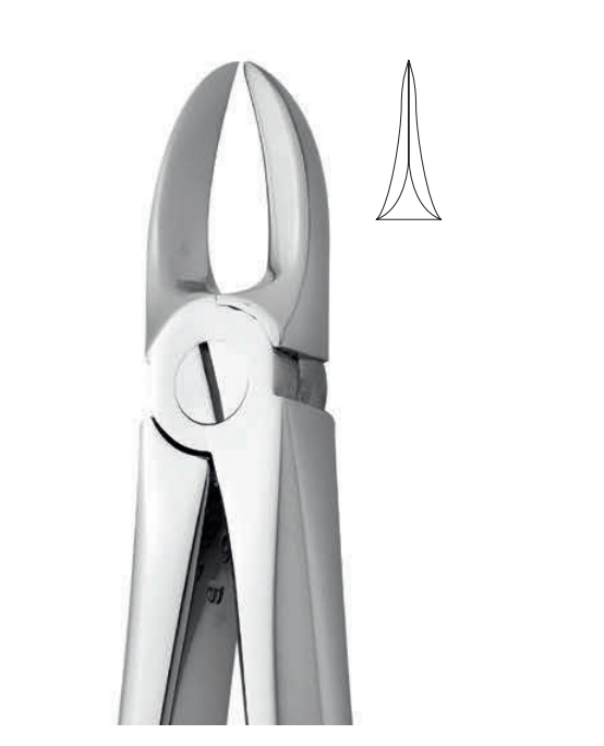 ANATOMIC TOOTH FORCEPS ENGLISH PATTERN - UPPER