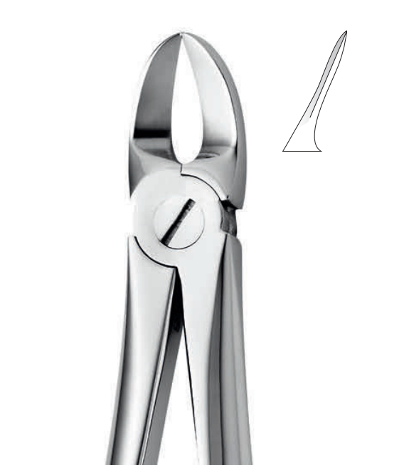 ANATOMIC TOOTH FORCEPS ENGLISH PATTERN - UPPER