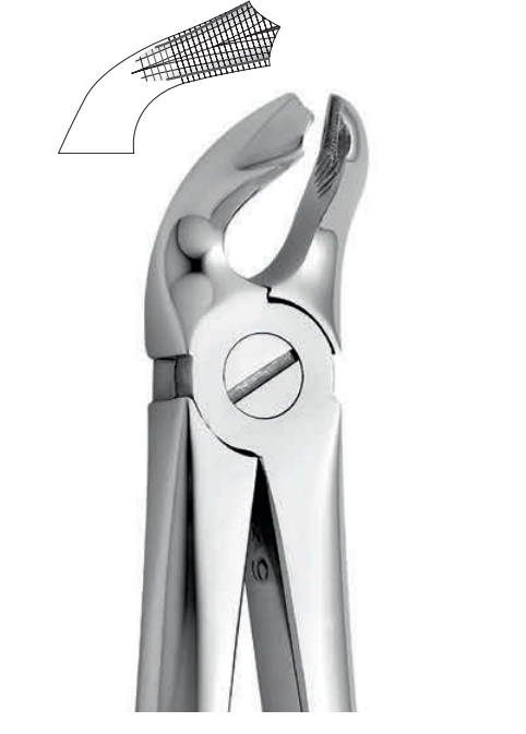 ANATOMIC TOOTH FORCEPS ENGLISH PATTERN - LOWER