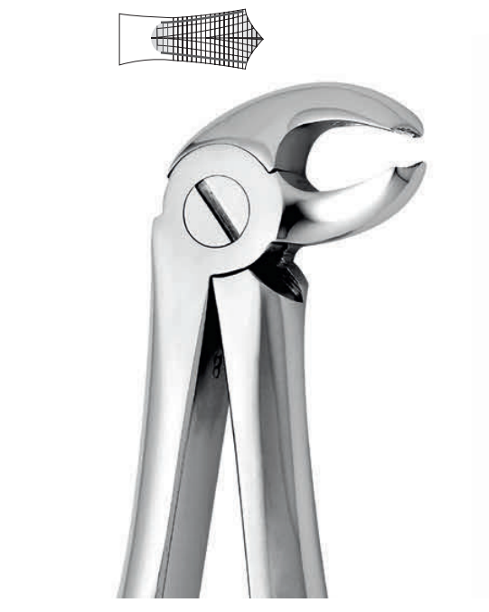 ANATOMIC TOOTH FORCEPS ENGLISH PATTERN - LOWER