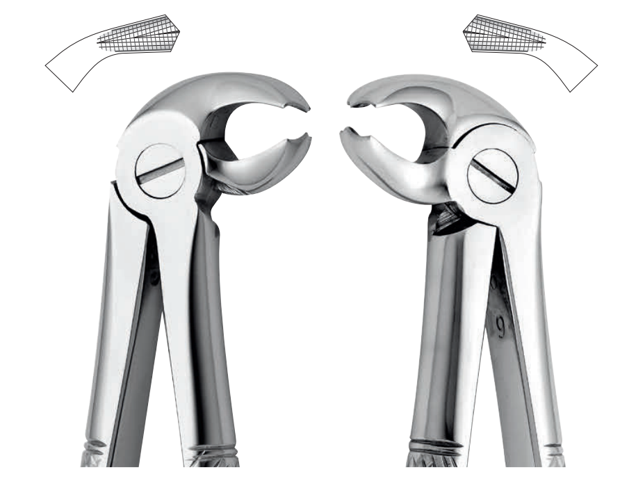 ANATOMIC TOOTH FORCEPS ENGLISH PATTERN - LOWER