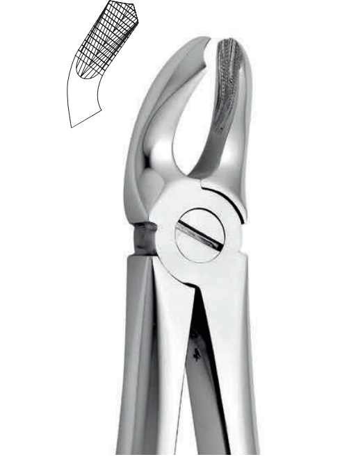 ANATOMIC TOOTH FORCEPS ENGLISH PATTERN - LOWER